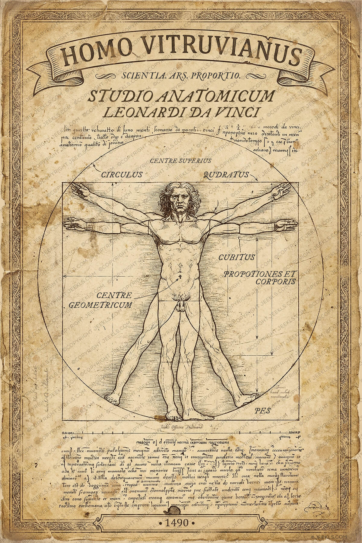 Vitruvian Man Poster - Leonardo da Vinci 1490 Vintage Anatomy Art Print 5 Vintage reproduction of Leonardo da Vinci’s Vitruvian Man (Homo Vitruvianus) 1490 – iconic Renaissance anatomical drawing with human figure in circle and square, aged parchment texture, ornate frame, Latin inscriptions, classic proportions study art print