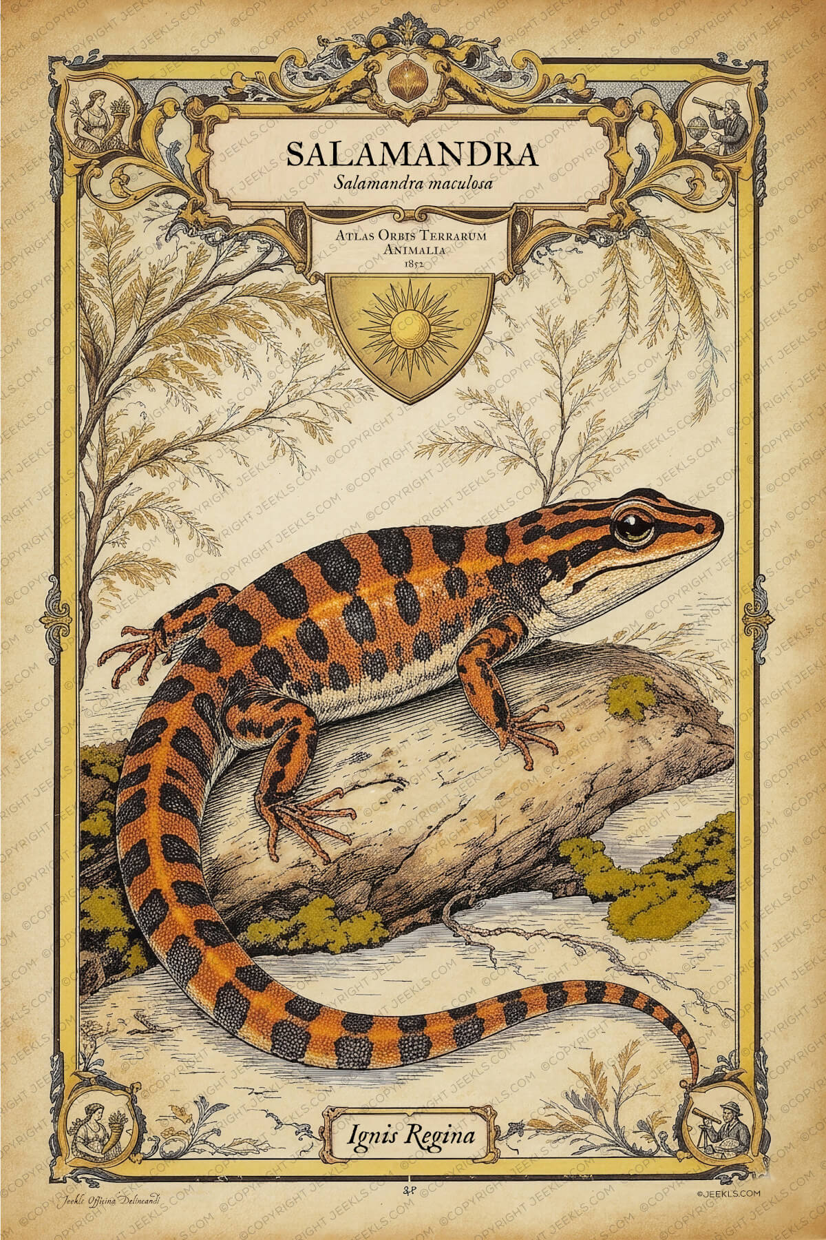 Vintage Fire Salamander - Salamandra maculosa - 1852 5 Vintage 1852 scientific illustration of a fire salamander (Salamandra maculosa) in an elaborate decorative frame with golden ornaments, leaves, a central sun symbol, and small allegorical figures of naturalists. The salamander is bright orange with bold black spots, resting on a rock near water on a beige background.