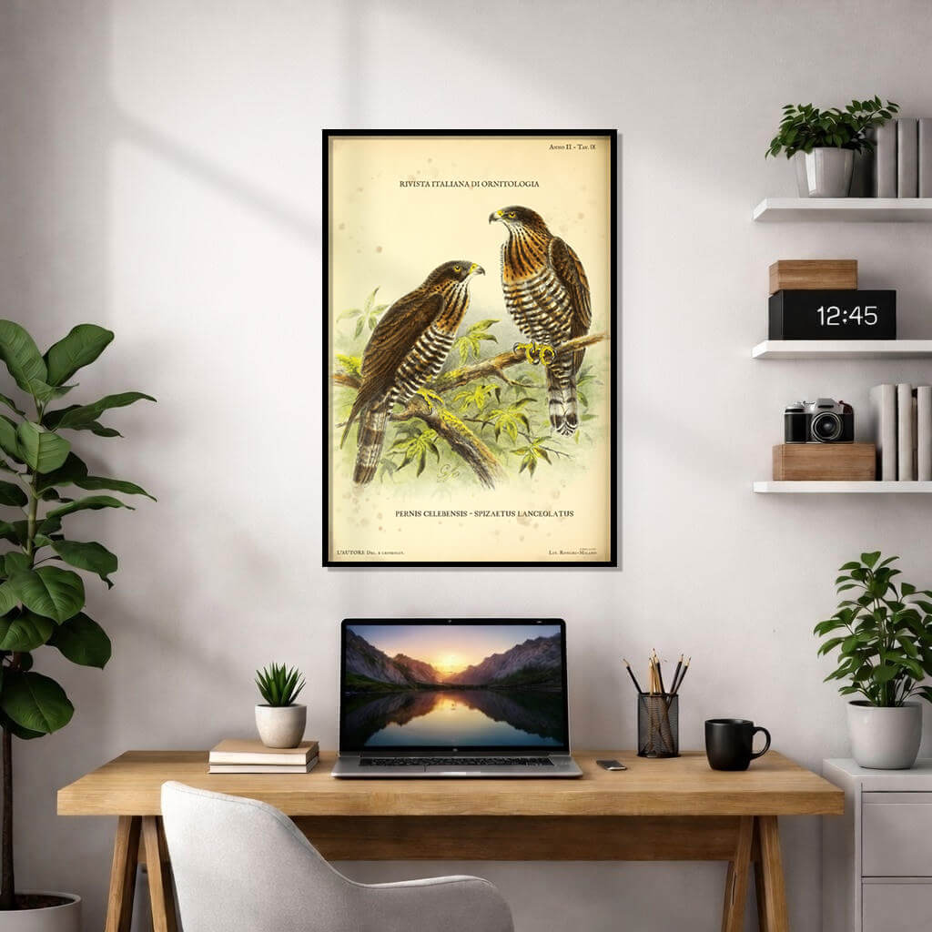 Vintage Italian ornithological illustration of two birds of prey, Pernis celebensis and Spizaetus lanceolatus, perched on a branch, aged parchment background, detailed raptor plumage.
